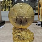 Kosarkaska lopta pehar Ballon dor
