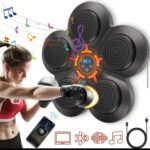 Pametna boks muzička sprava
