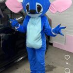 Stich kostim za odrasle
