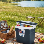 Rucni frizider prenosivi Frižider za piknik 20l